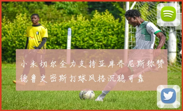 小米切尔全力支持亚库乔尼斯称赞德鲁史密斯打球风格沉稳可靠